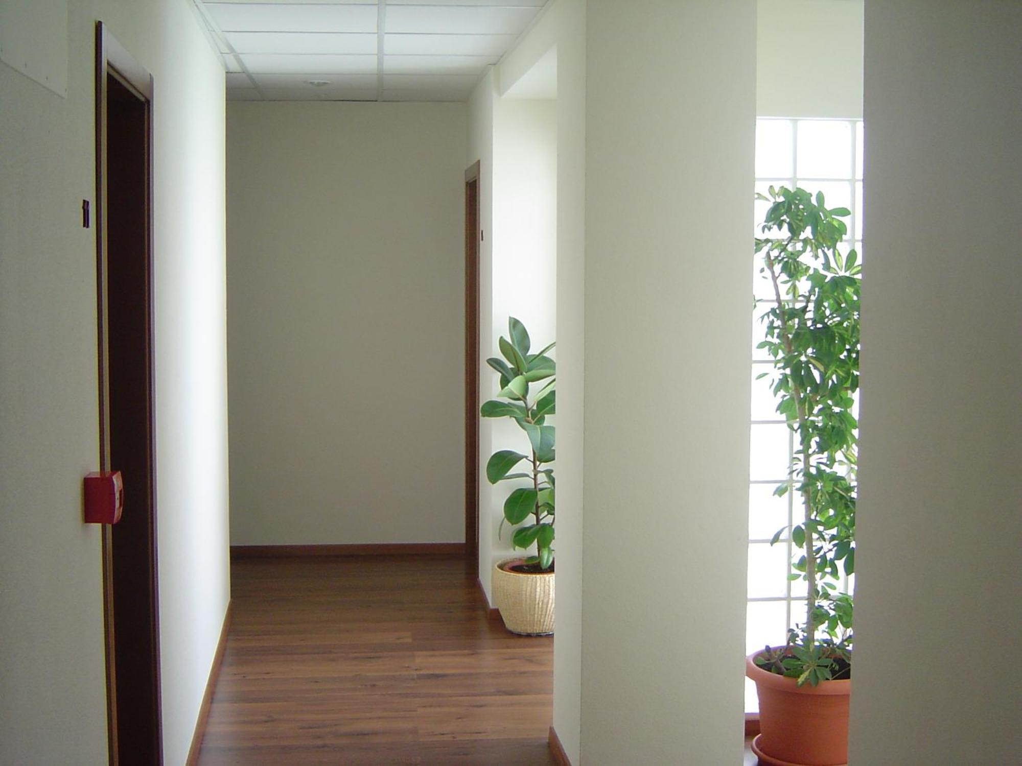 Hostal El Estudio Almansa Exteriér fotografie