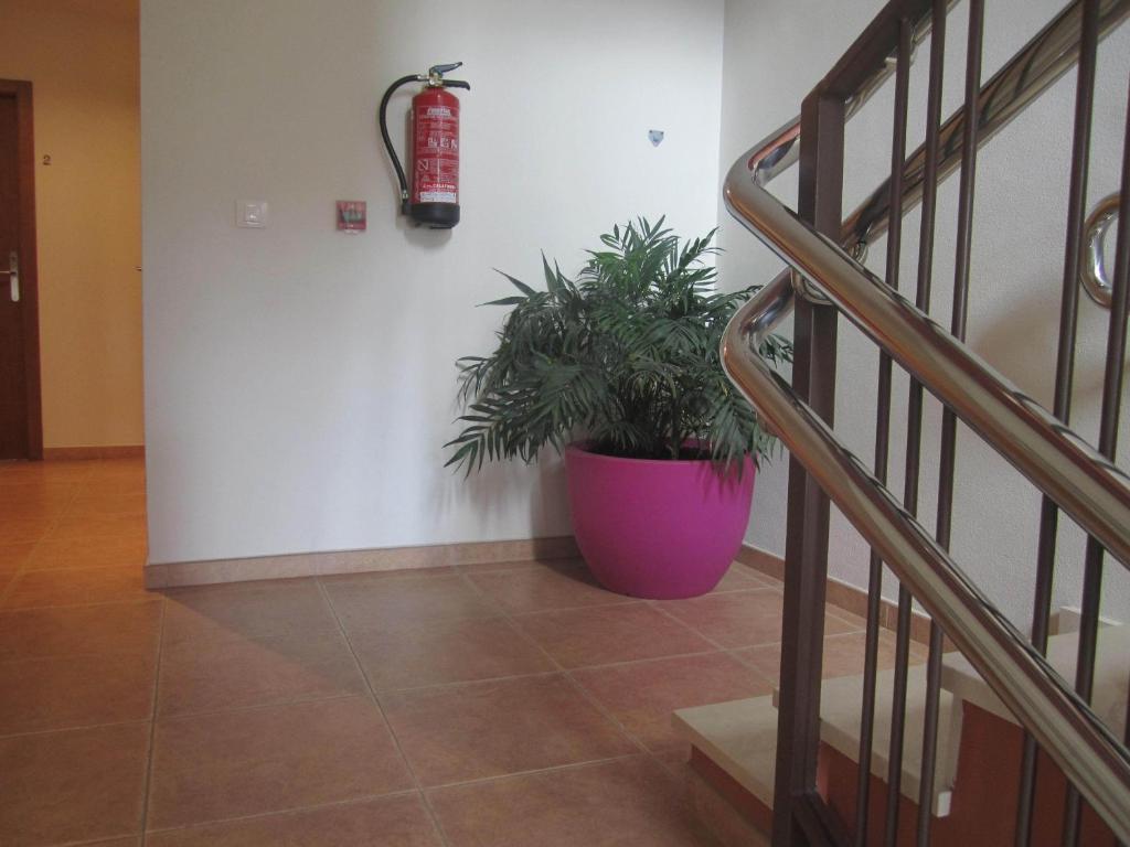 Hostal El Estudio Almansa Exteriér fotografie